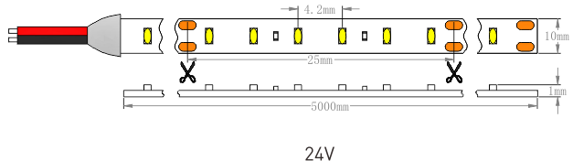 Размеры светодиодной ленты SMD2216 19,2 Вт